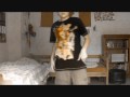 Kid Cudi - Make Her Say ft. Kanye West, Common