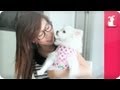 BubzBeauty - The Pet Haul