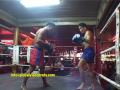 Thai kick-boxing inside a bar in Walking street, Pattaya, Thailand. Anything goes...punching, kicking, kneeing, elbowing....It's a free for all! Have a drink, talk to the girls or watch the boxing. info@globalvideoprotv.com