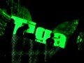 tiga  bonusz festival budapest 30 08 2008