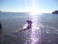 Nikhil Windsurfing in full sunshine Nov'08