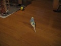 Play Time Play Time