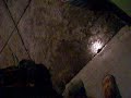 Anucha la domestik