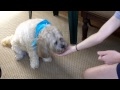 title="Cute