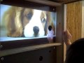 Phoenix Museum - Kailani's favorite thing - the buttons - 11
