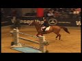 Billy Birr CSI Wien 2009 GP cassio rivetti