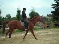 Springen mit Darius2