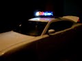 1/18 Scale Welly Dodge Charger Police with Flashing LED Lightbar 1/18 Scale Welly Dodge Charger Police with Flashing LED Lightbar