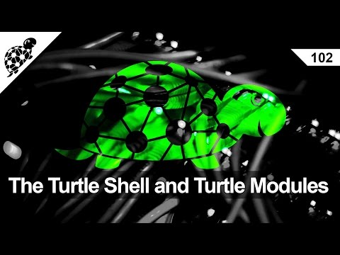 LAN Turtle 102 - The Turtle Shell and Turtle Modules