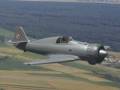 BDF - P50A Jastrząb (Hawk) Polish Fighter 1939