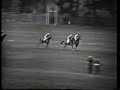 Arkle 1965 Whitbread Gold Cup