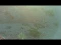 bootleg canyon trail(RENE\ bootleg canyon trail(RENE\