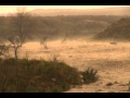 Hail pounds Texas Panhandle - YouTube