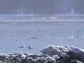 videos de Time Travel Alaska with DRB TV Girdwood, Hope, Kenai,