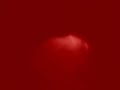 The video of the spell was true vol.22 The video of the spell was true vol.22