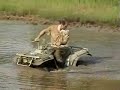 250s in pond