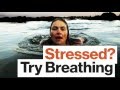 Stressed? Use This Breathing Technique to Improve Your Attention and Memory, with Emma Seppälä