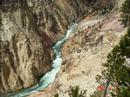 Montana Scenary