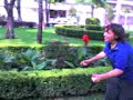 Tania se cae
