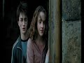 harry-potter-evergreen.html