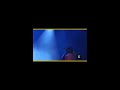 Krown DVD Lady Saw Performance