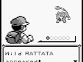 Pokemon – Wild Pokemon Battle