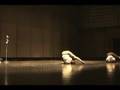 eudorina - mishin - 2007.1.20