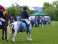 woodgate valley display part 2