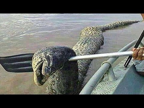 Unidentified - This picture appeared on the internet recently and seems to be a mystery about what it is exactly. I will give you my idea of what it is. But what I really w...