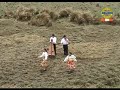 DANZANTES DE TIJERAS (SUPAY TUSUCHIS) DE TAYACAJA