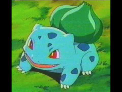 how to be a master of pokemon