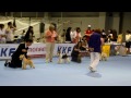 KR FCI SEOUL DOG SHOW Terrier Group(2010 08 29)