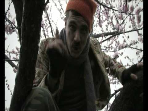 Immagine anteprima YouTube