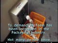 PE Foam (Polyethylene) Recycling from EPS Group LLC