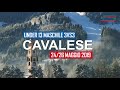 Promo FIPAV