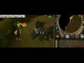 main funny mauler kbd prof. pic.48 max/ 72range