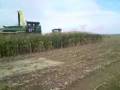 videos de maize silage john deere 7400 self propelled forager 2008