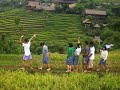 IK WA XI IPA 1 part 2