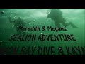 Meredith & Megans EXCELLENT SeaLion Adventure!
