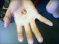 Telekinesis Telekinesis
