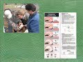 Goat Managment part 4 of 4 Goat Managment part 4 of 4