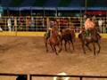 videos de Rodeio Sertanópolis 2008 149.avi