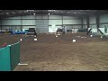 VID00112.MP4