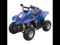 CVT Belts, Kevlar Belts, and more for ATVs