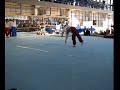 Pokaz akrobatyczny