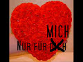 Wise Guys - Nur für Dich Wise Guys - Nur für Dich