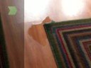 How To Talk To Your Cat
