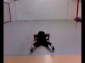 Video-0008.mp4