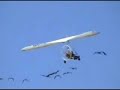 Microlight & Geese Microlight & Geese