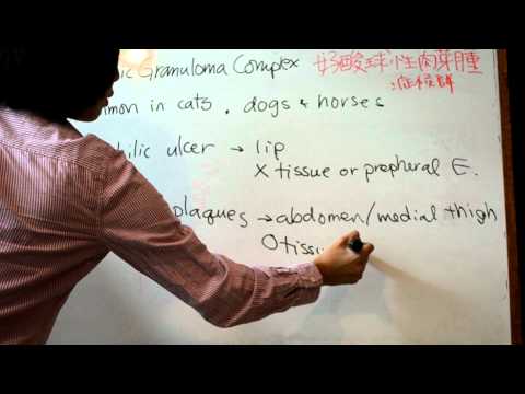 how to treat eosinophilic granuloma